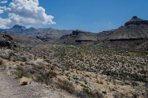 Blue Creek Canyon trail Big Bend