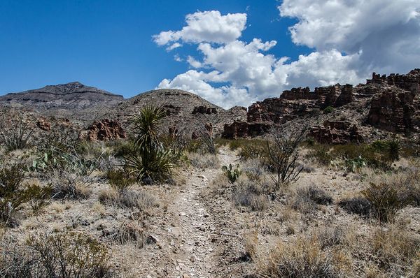 Blue Creek Canyon Trail Big Bend