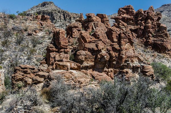 Blue Creek Canyon Trail Big Bend