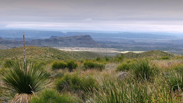 Sotol Vista Big Bend