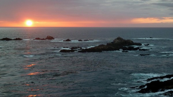 Crépuscule à Point Lobos