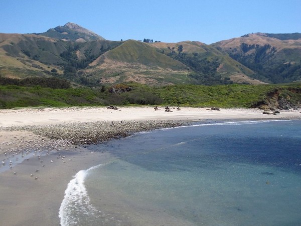 Andrew Molera State Park
