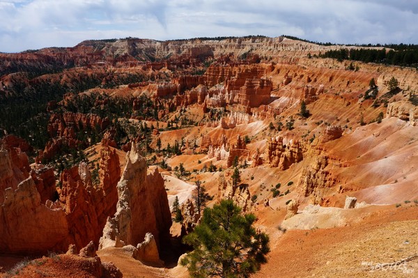 Sunrise Point Bryce Canyon NP