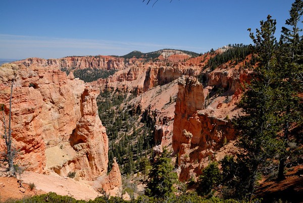 Black Birch Canyon Bryce Canyon NP