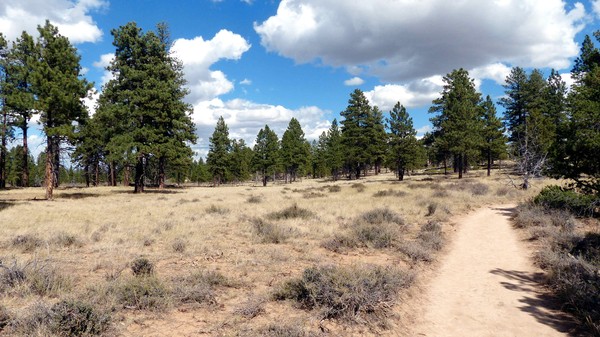 Rim Trail Bryce Canyon NP