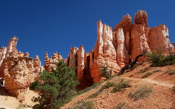 Queen's Garden Trail Bryce Canyon NP