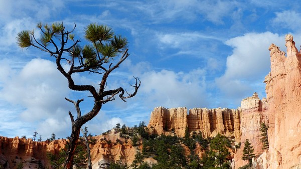 Fairyland Loop Bryce Canyon NP