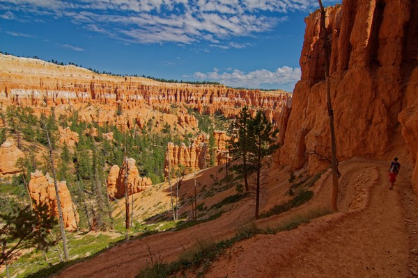 Peekaboo Loop Bryce Canyon