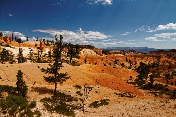 Peekaboo Loop Bryce Canyon