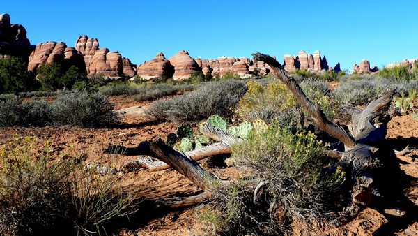 The Needles : Chesler Park Trail Canyonlands