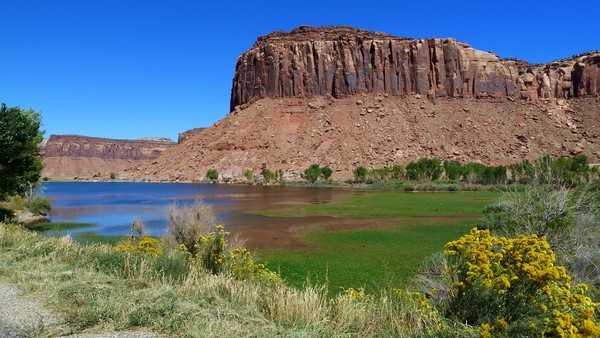 The Needles : le long de l'UT 211 Canyonlands