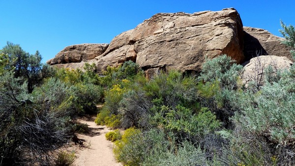 Cave Springs Trail Canyonlands