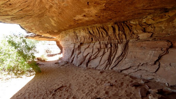 Cave Springs Canyonlands