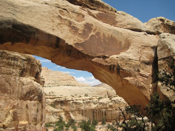 Hickman Bridge Capitol Reef NP