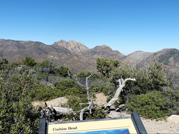 Cochise Head Chiricahua National Monument