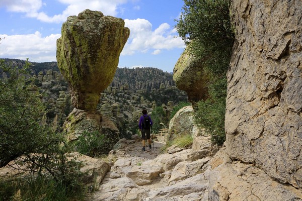 Balanced Rock sur Massai Nature Trail Chiricahua National Monument