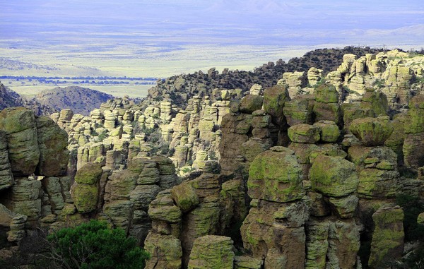 Massai Nature Trail Chiricahua National Monument