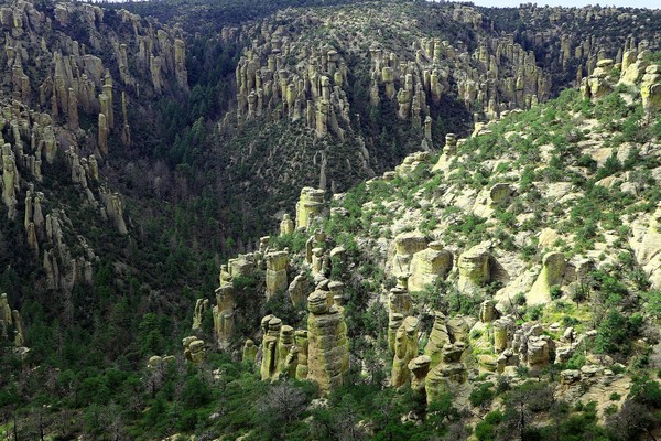 Massai Nature Trail Chiricahua National Monument