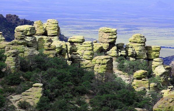 Massai Nature Trail Chiricahua National Monument