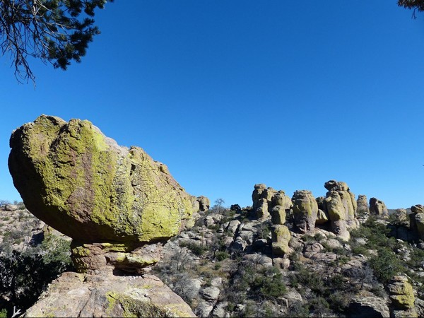 Tuf rhyolitique recouvert de lichen