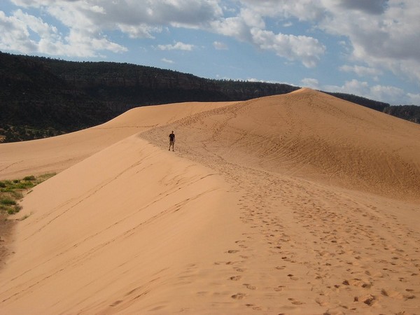 Balade vers le sommet de la grande dune Coral Pink Sand Dunes