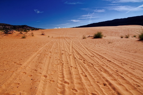 Coral Pink Sand Dunes