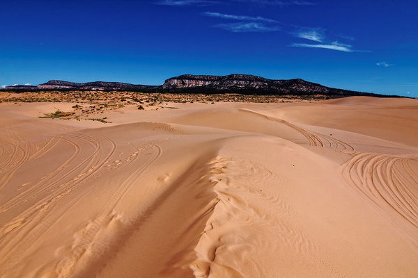 Coral Pink Sand Dunes