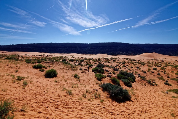 Dunes de sable