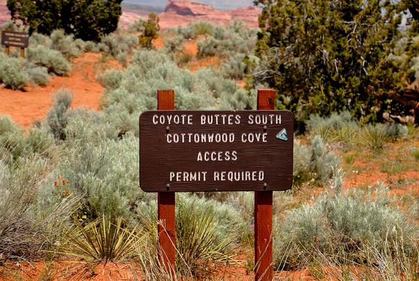 Permis pour Coyote Buttes South Arizona