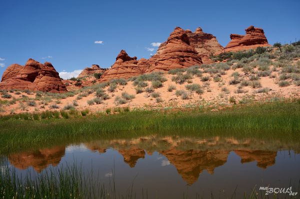 Les teepees au printemps Paw Hole Coyote Buttes South Arizona