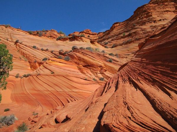 Décors de vagues Paw Hole Coyote Buttes South Arizona