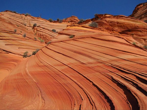 Vagues Paw Hole Coyote Buttes South Arizona
