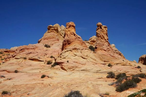 Cottonwood Cove Coyote Buttes South Arizona
