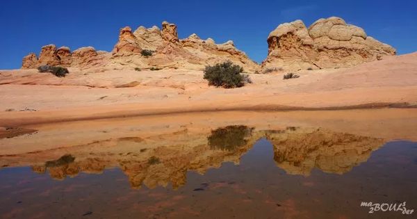 Cottonwood Cove Coyote Buttes South Arizona