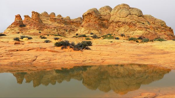 Cottonwood Cove Coyote Buttes South Arizona