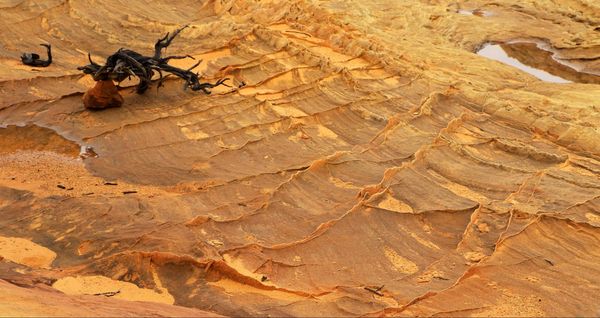 Détail roche Cottonwood Cove Coyote Buttes South Arizona