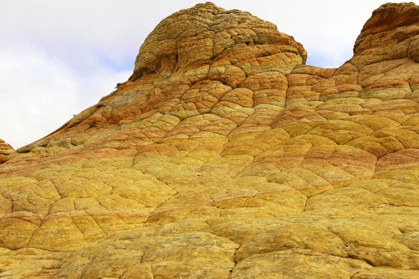 Brainrocks Coyote Buttes South Arizona