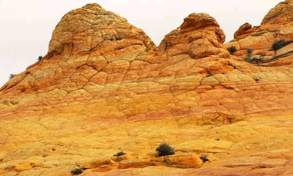 Brainrocks Coyote Buttes South Arizona