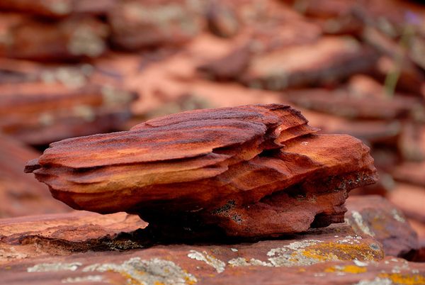 Roche Coyote Buttes South Arizona