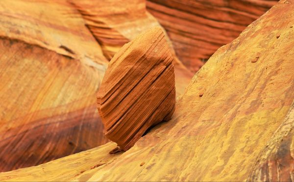 roche Coyote Buttes South Arizona