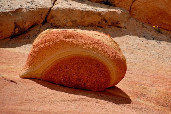 Roche remarquable Coyote Buttes South Arizona