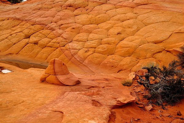 Roche Coyote Buttes South Arizona