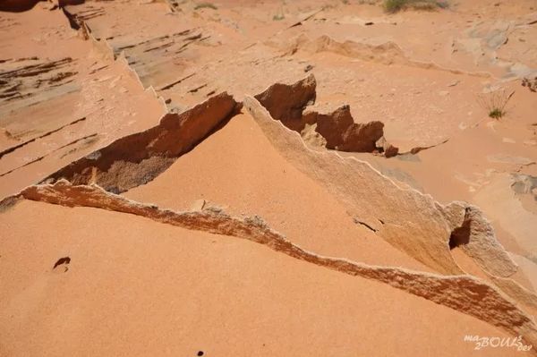 Dentelle fragile Coyote Buttes South Arizona