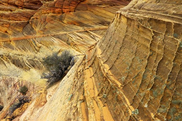 Coyote Buttes South Arizona