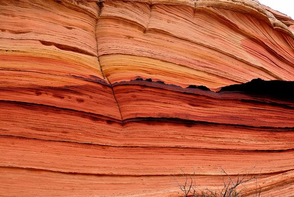 Détail roche Coyote Buttes South Arizona USA
