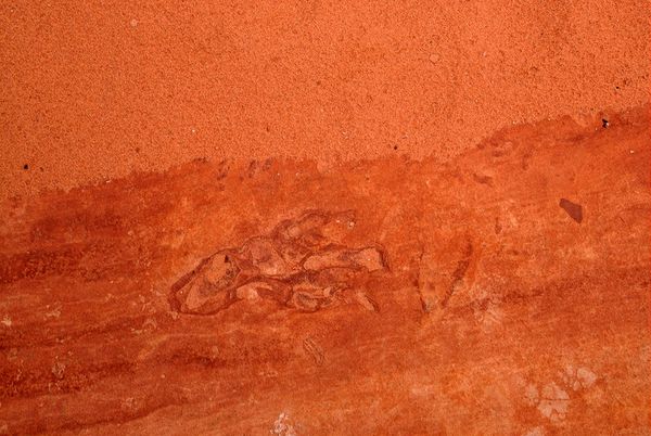 Empreinte dinosaure Coyote Buttes South Arizona