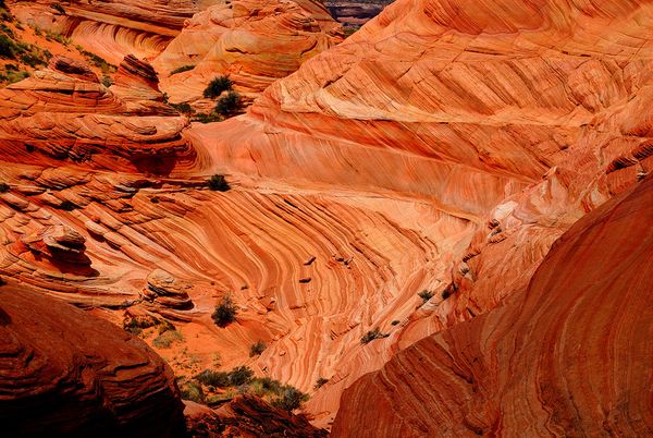 Coyote Buttes South Arizona
