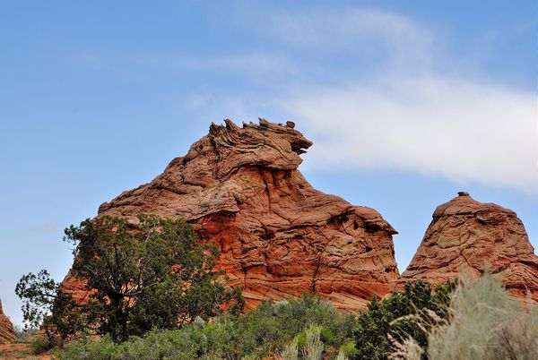 Wolf Rock Coyote Buttes South Arizona
