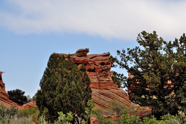 Pig Rock Coyote Buttes South Arizona