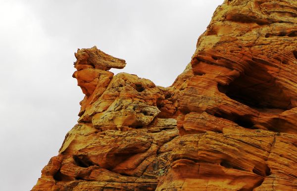 Hippocampe Coyote Buttes South Arizona